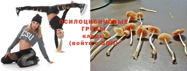 прущий лед Алексеевка
