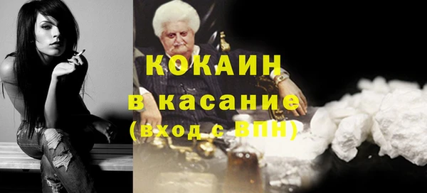 соль ск Алексин