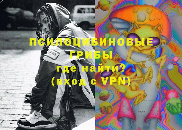 соль ск Алексин