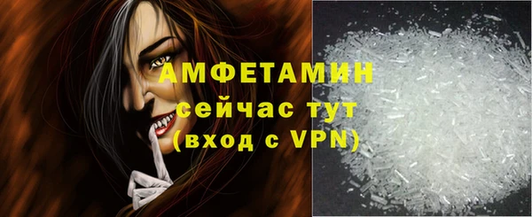 ПСИЛОЦИБИНОВЫЕ ГРИБЫ Козловка