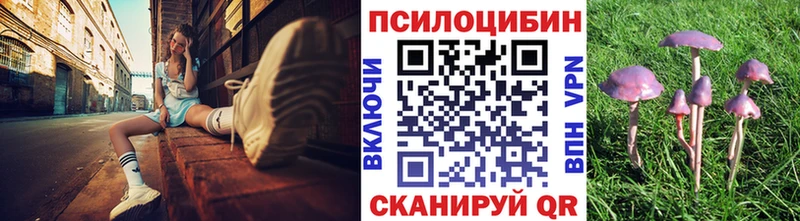 нарко площадка состав  даркнет сайт  Багратионовск  Псилоцибиновые грибы Psilocybe 