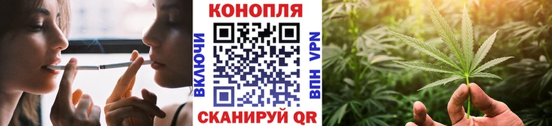 Каннабис OG Kush  Багратионовск 